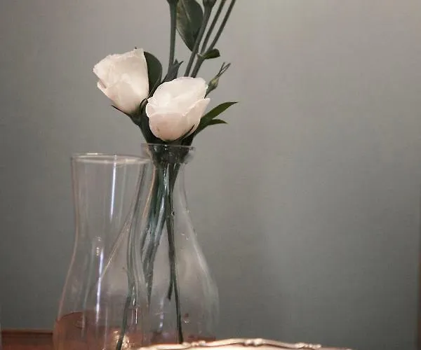 Santa Monica Townhouse Guest house Rome